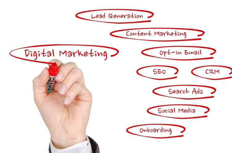 Professional Digital Marketing Agency